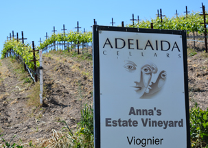 cellars adelaida tasting opened distance summary driving located short march