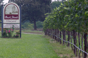 Buck Shoals Vineyard & Winery