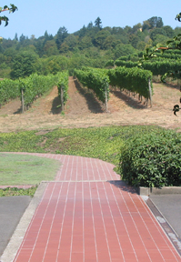 Rex Hill