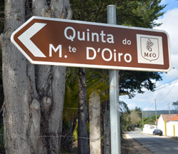 Quinta de Monte d'Oira