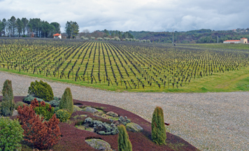 Quinta de Lemos